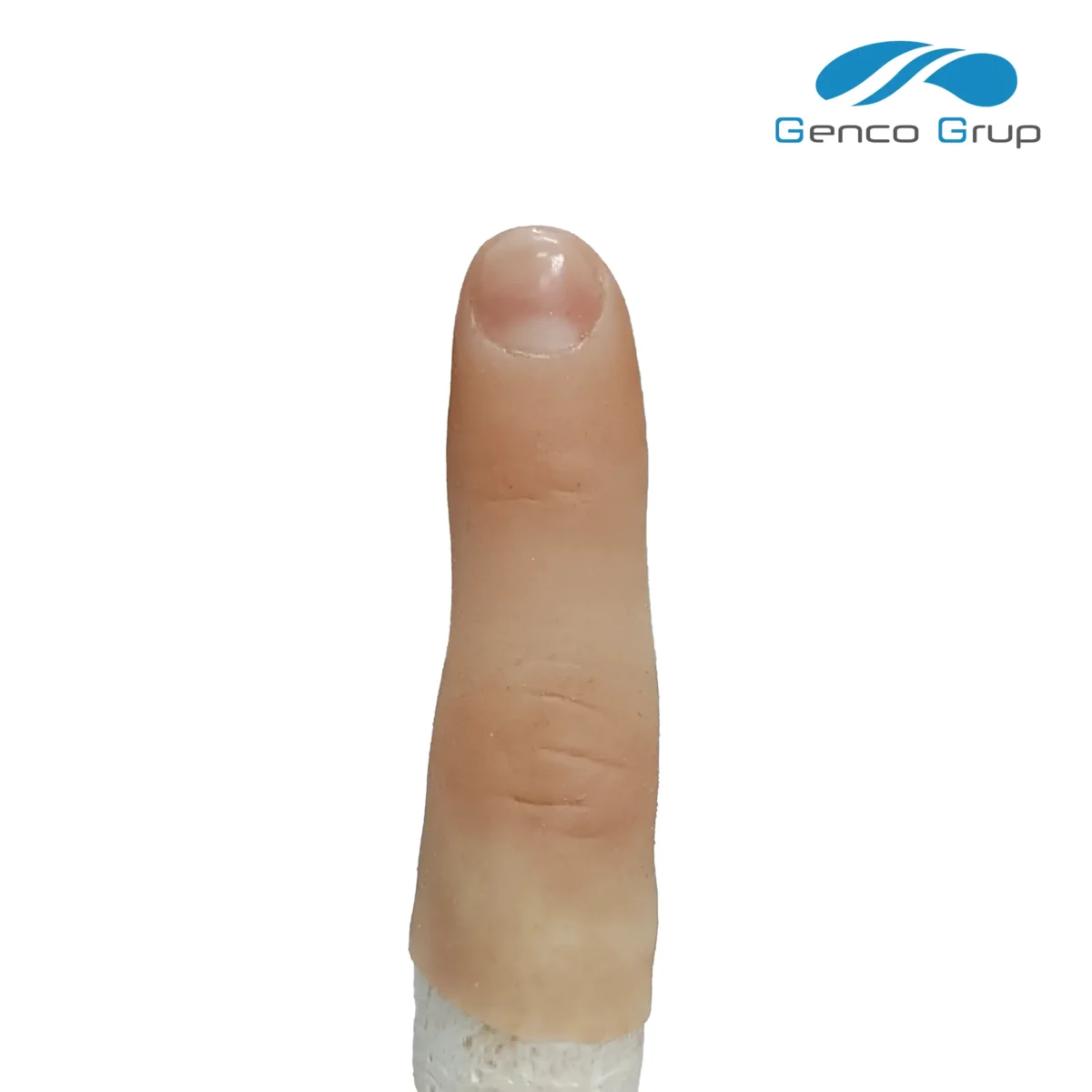 Cosmetic Prostheses - Image 6