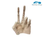 Cosmetic Prostheses - Image 4